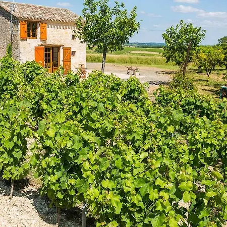 La Du Vigneron بيت للعطل Donnazac