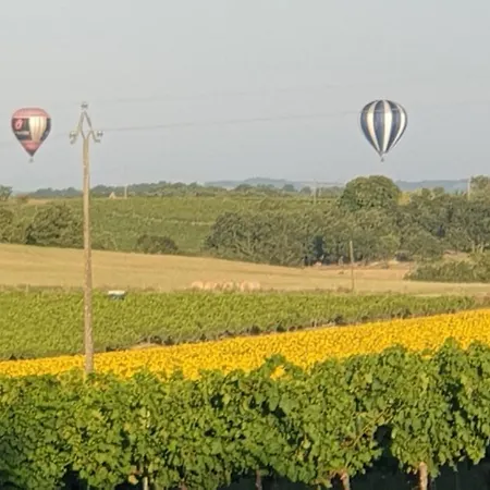 La Du Vigneron بيت للعطل Donnazac