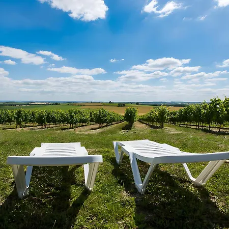 La Du Vigneron بيت للعطل Donnazac